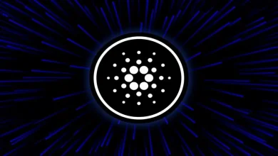 Why investors are buying Cardano and Option2Trade before BTC halving