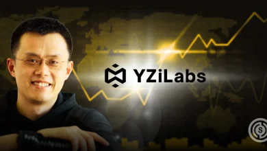 YZi Labs Dismisses FT Reports on External LP Demo Day Missteps