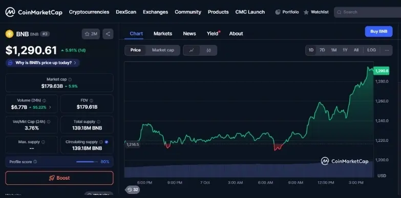 BNB 24 Hours Chart
