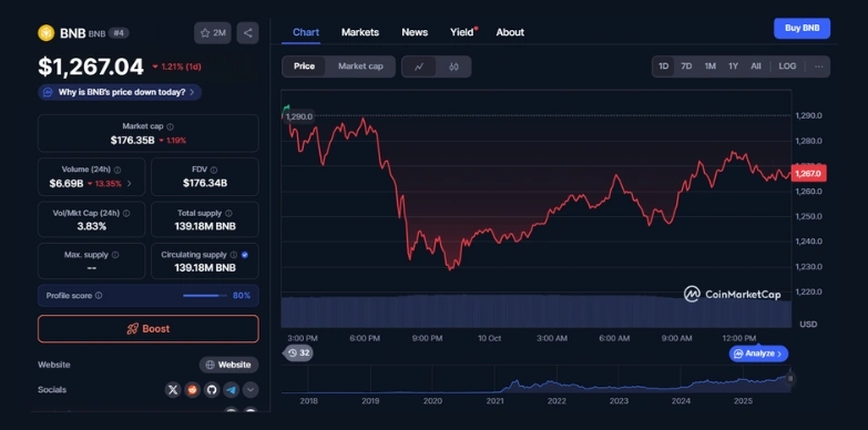 BNB 24 hour price chart