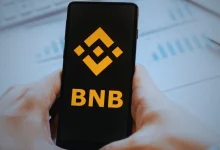 BNB Chain Hits 7.88M Fees 6.65M Revenue Amid Gas Cut