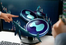 Hype Whales Load Up Amid Hyperliquid Insider Trading Controversy