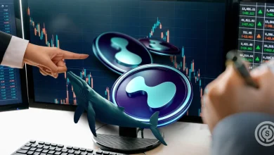 Hype Whales Load Up Amid Hyperliquid Insider Trading Controversy