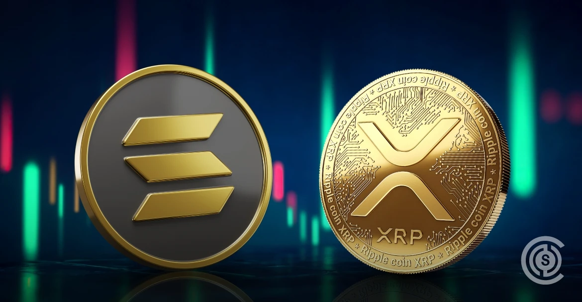 XRP and Solana Shine Amid Bleeding Digital Assets (1)