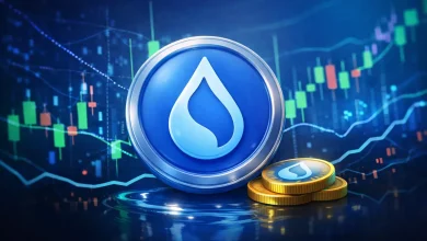 Stripe’s Bridge Launches Sui Dollar Stablecoin on Sui Mainnet