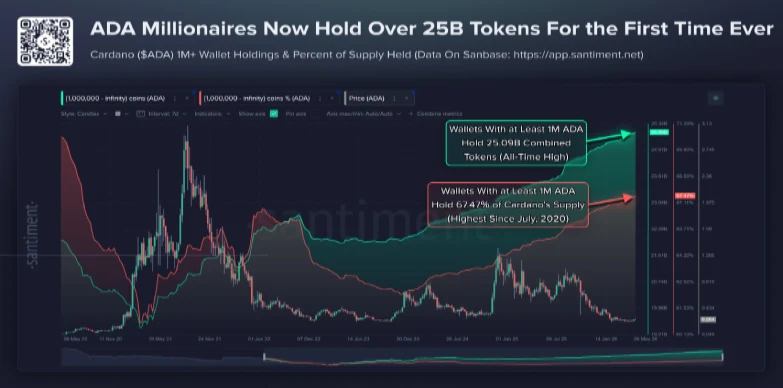 Cardano whales