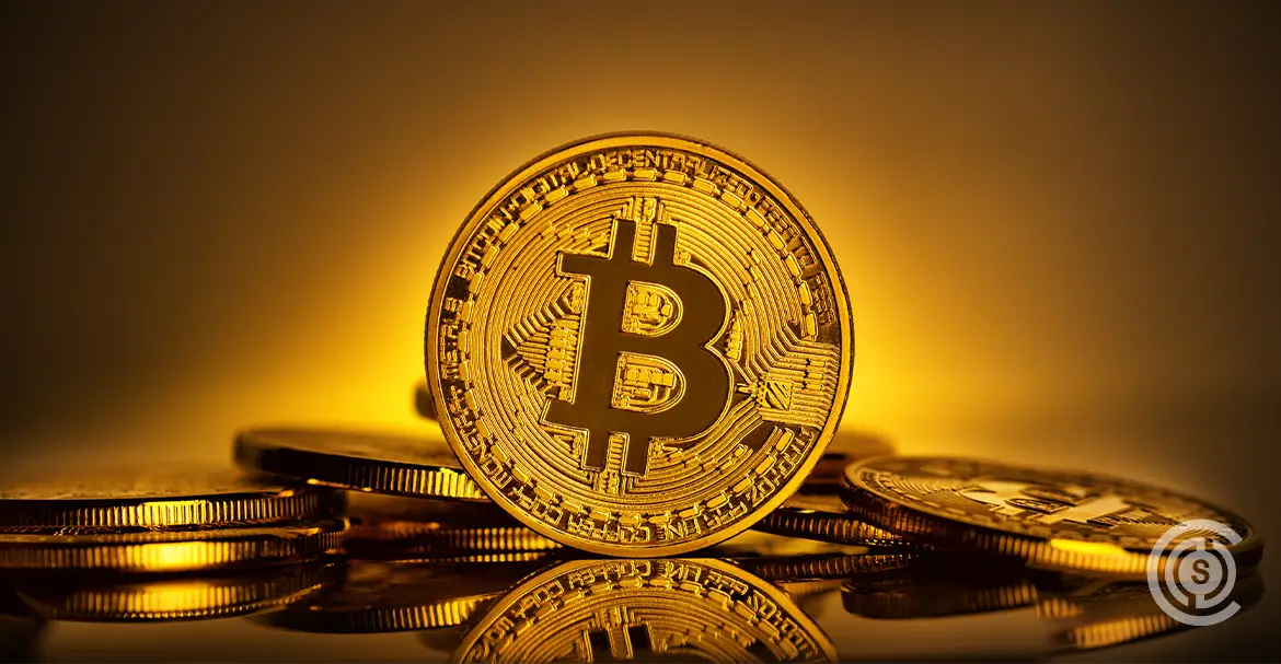 Bitcoin Accumulation Stalls for Seven Months as Selling Outpaces Demand
