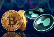 Hyperliquid Launches Portfolio Margin Beta with Bigger Limits, BTC nd HYPE now usable as collateral